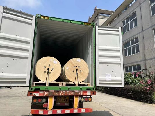 Poids léger strict de 100% FRP Rod Strength Member Inspection Machinable