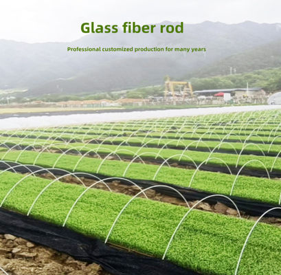 Appui léger de la fibre de verre FRP Rod For Agricultural Greenhouse Tunnel